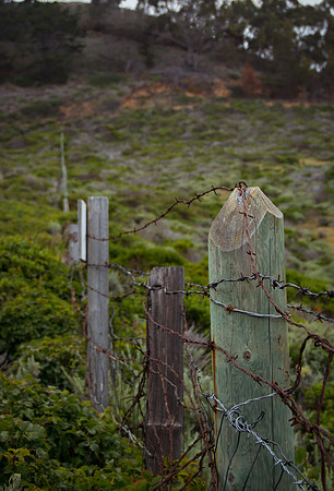 Fences~ Big Sur