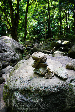 Offerings~Manoa Falls, Hawaii