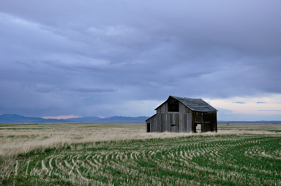 Abandoned ~ Montana