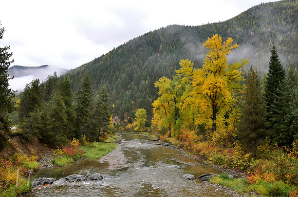 Idaho in fall